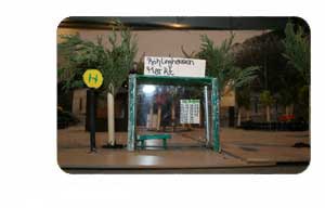 Sch&uUml;lercybercitys